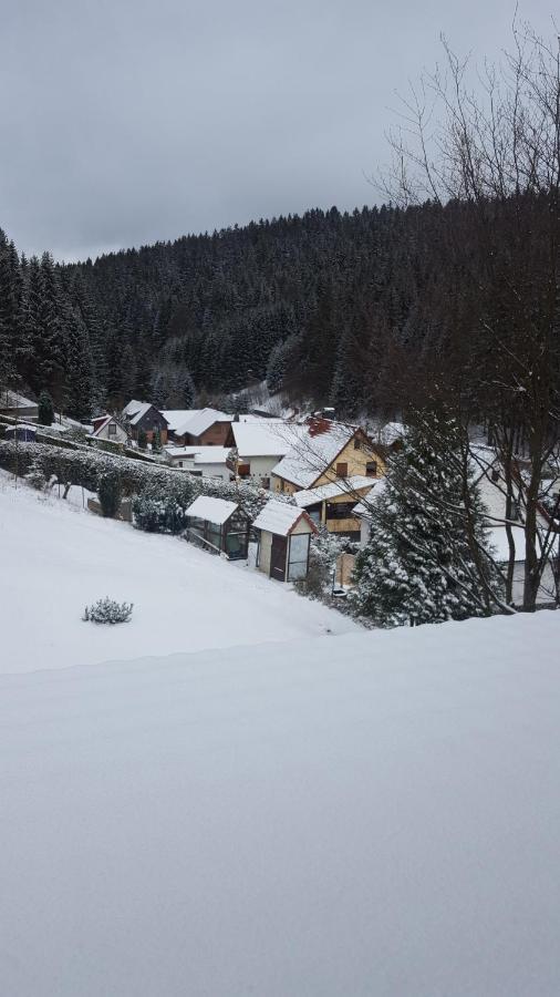 Apartamento Aroba neu, auch für Monteure Fehrenbach Exterior foto