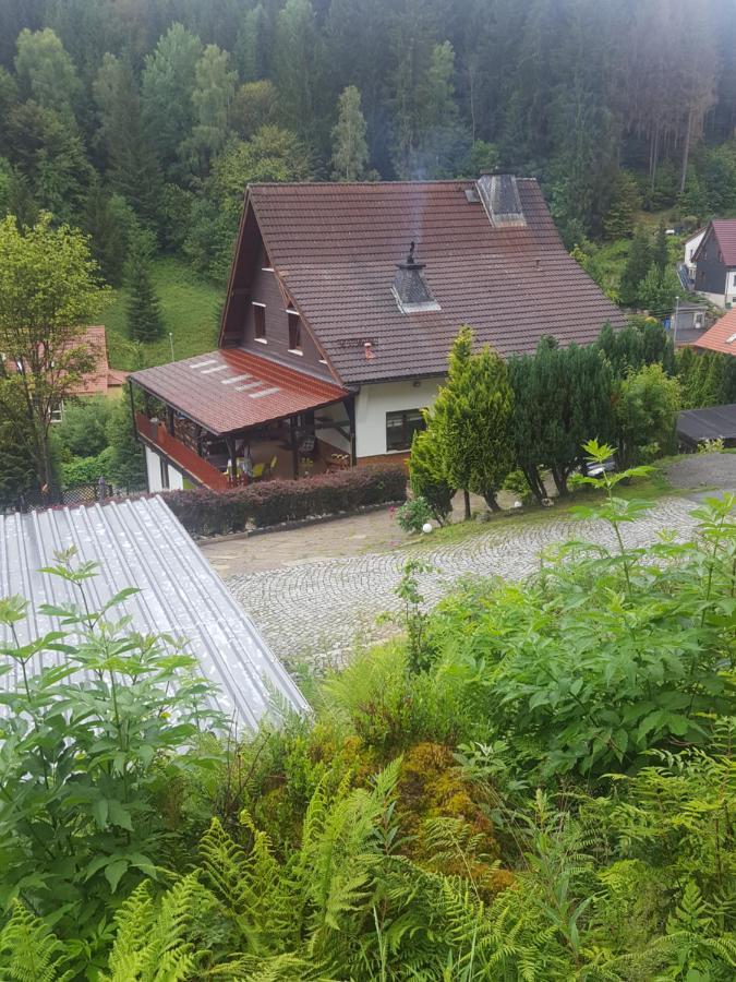 Apartamento Aroba neu, auch für Monteure Fehrenbach Exterior foto