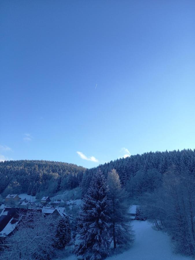 Apartamento Aroba neu, auch für Monteure Fehrenbach Exterior foto