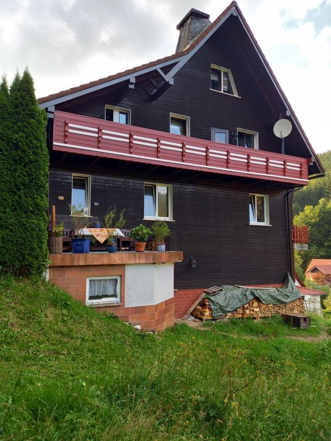 Apartamento Aroba neu, auch für Monteure Fehrenbach Exterior foto