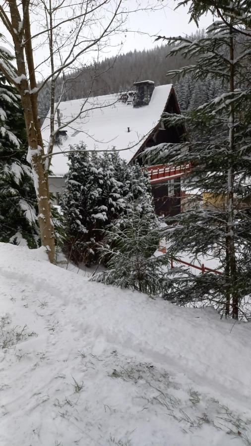 Apartamento Aroba neu, auch für Monteure Fehrenbach Exterior foto